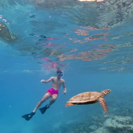 Snorkel Watersports