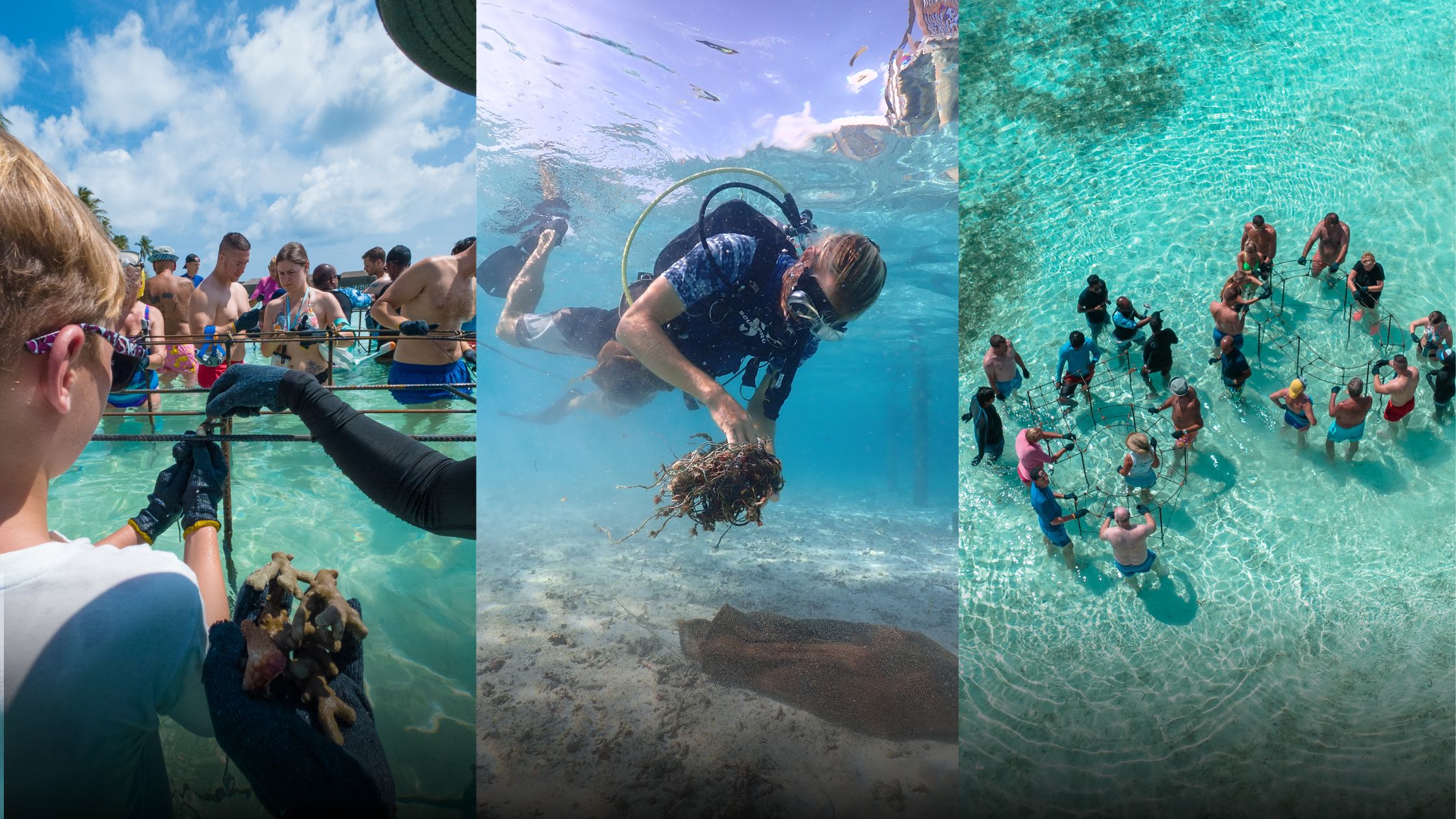 Celebrating Ocean Awareness Month at Meeru Maldives - Meeru Maldives